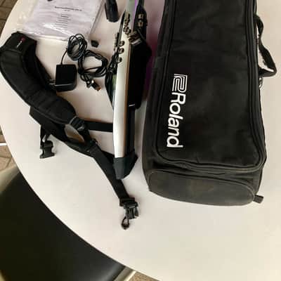 Roland AE-30 Aerophone Pro Digital Wind Instrument 2020 - Present - Silver image 12