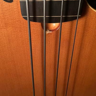Godin A4 early 2000's - Maple image 11