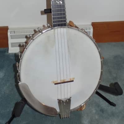 Wildwood Artist open-back banjo image 1