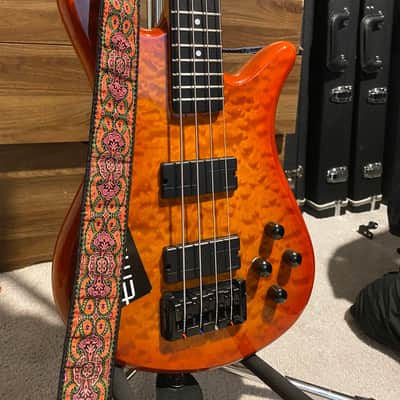 Spector Q4 Pro Heavily modified image 1