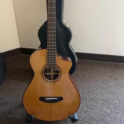 Breedlove Performer Pro Concertina A CE Spruce-Rosewood w/OHSC image 1