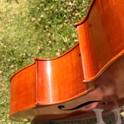 Westbury Eastman cello 4/4 - Hand varnish image 14