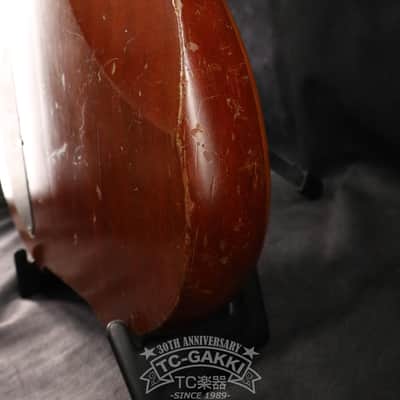 Alembic Japan 1980s AJ-II-JB FL image 12