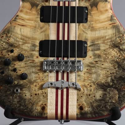 2016 Left-Handed Alembic Mark King 5 Deluxe Buckeye Burl ~Side LED's~ image 6