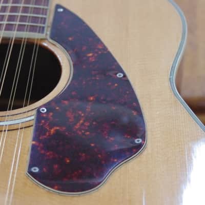 Fender 12 String F1070 / Harmony H1270 1969 Natural image 11