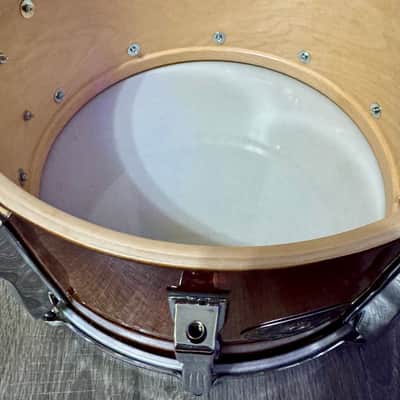 Ludwig 100th Anniversary Legacy Exotic Series (Lacewood Red Burst Finish-RARE) image 11