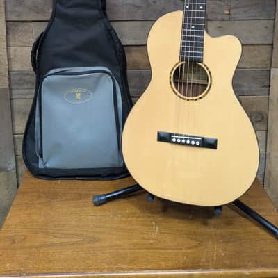 Recording King RP G6 CFE5 Acoustic Electric Guitar w/ gig bag image 1