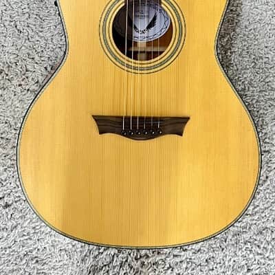 Dean 6 String St. Augustine Concert Solid Wood Acoustic Electric Guitar SACE SN image 1
