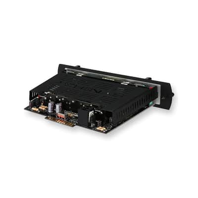 Synergy T/DLX Modul image 3
