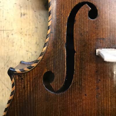 Antique violin Labelled "Jacob Stainer" Lionhead circa 1890 image 3