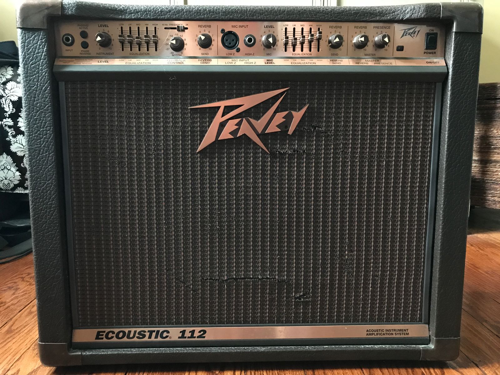 Peavey Ecoustic 112 100-Watt 1x12 Acoustic Instrument