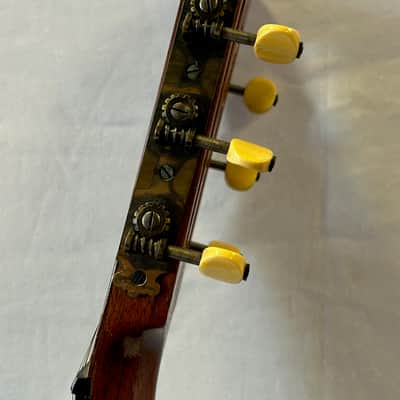 Washburn 1897 Style New Model -1890's image 17