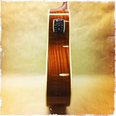 Epiphone Masterbilt DR-500MCE Acoustic/Electric Stereo Guitar image 5