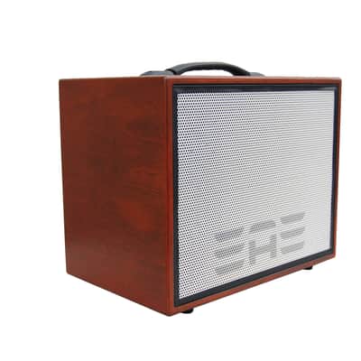 Elite Acoustics EAE A1-58 Open BOX Acoustic Amp with LFP Battery - Wood image 5