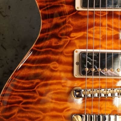 Paul Reed Smith Private Stock McCarty Singlecut 594 #6829 image 3