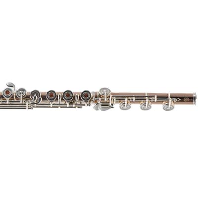 William S. Haynes Custom 14K Gold Flute with Gold Toneholes, Offset G, C# Trill image 5