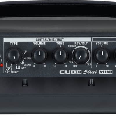 Roland CUBE Street MINI Multi-Instrument Battery Amplifier image 5
