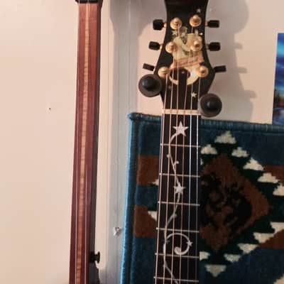 Worland Hand made harp guitar image 8
