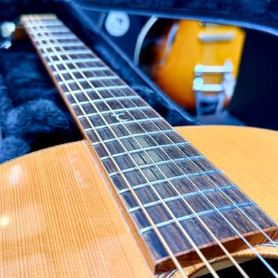 🌟 Tanglewood Exotic Java TWJPE Parlour Electro Acoustic + Hard Case~Stunning 🌟 image 4