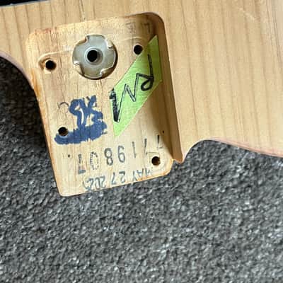 Fender American Professional II Telecaster guitar body base coat image 2