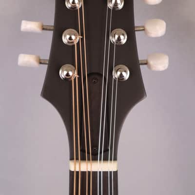 Eastman PCH-M104 Mandolin: Solid Sitka Spruce Top, Laminate Mahogany back and sides 2026 image 13