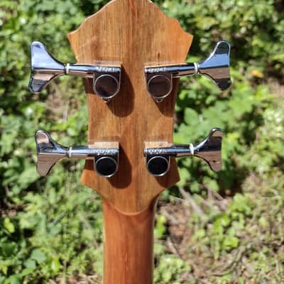 Michael Kelly Dragonfly 4 acoustic bass image 12