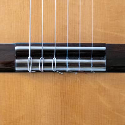 Stefan Nitschke  2021 Hauser model - CSAR and German spruce image 7