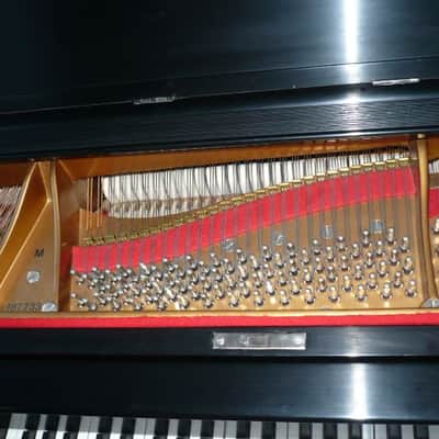 1917 Steinway Baby Grand Model M Satin Black image 6