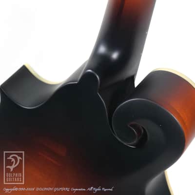 Eastman MD-315E/SB image 13