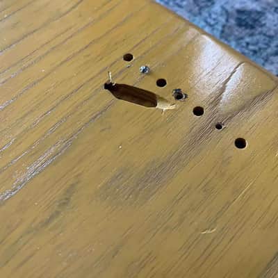 Fender 60th Anniversary 51 P Bass Body (Ash/Nitro) image 6