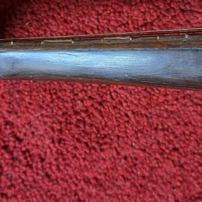 CATANIA SILVESTRI Sicilian concert mandolin with modern fretboard  1900s image 13