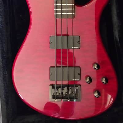 Spector Pro Q4 Made in Korea 2000's Era image 1