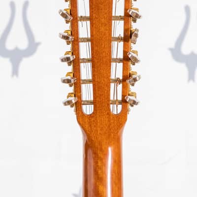 Daion Year Series '80 / 12 String image 20