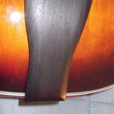Devlin DV500 Archtop image 9