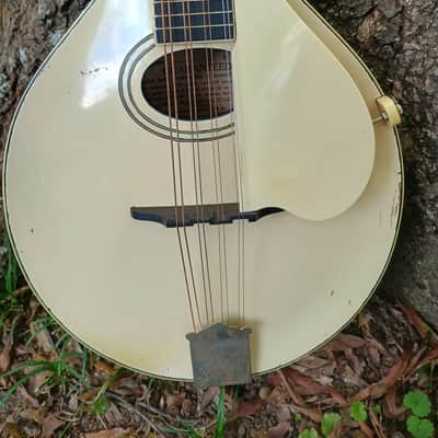 Gibson A-3 Mandolin image 18