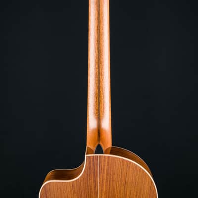 Lowden S-35J Guatemalan Rosewood and Alpine Spruce Nylon String Jazz Series with Pickup NEW image 21
