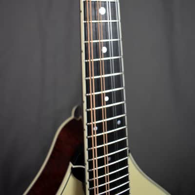 Collings MT2 Cream Top image 17
