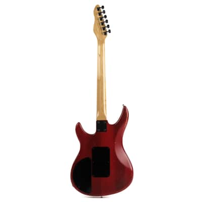 Peavey Patriot Owned by Mark Lettieri image 3