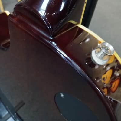 Epiphone Slash Signature Les Paul Standard - Anaconda Burst image 10