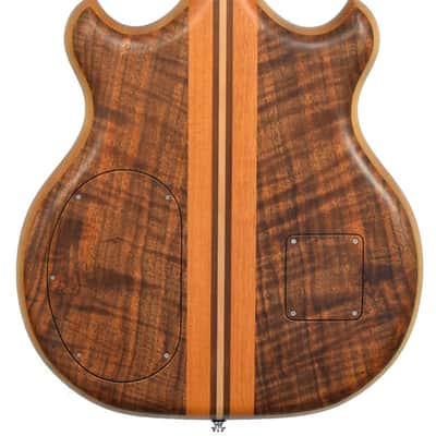 Alembic Brown Bass image 4