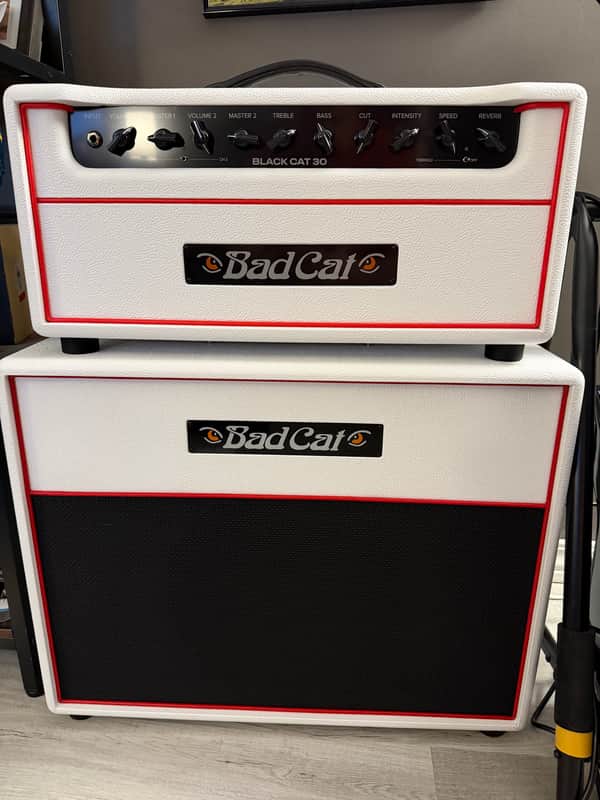 Bad Cat Black Cat 1x12" Guitar Speaker Cabinet custom white bronco image 1