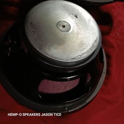HARTKE 10" SPEAKERS HEMPOPOTAMUS HYBRIDS G5 CONES 2 AVAILABLE TONALITY SAVAGES image 10