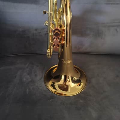 Carol Brass Compact Flugelhorn / Taylor Phat Puppy 2023 - Polished / Lacquered image 17