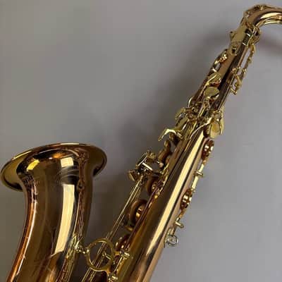 Yanagisawa T-WO2 image 7