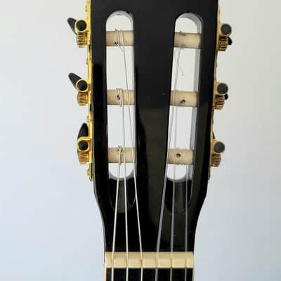 Rare Esteban Spanish Rosas Classical Guitar Character Flowers image 12