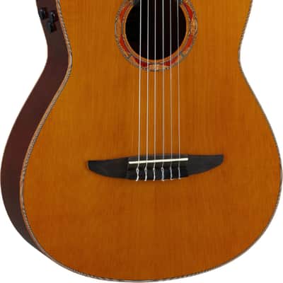 Yamaha NCX3C Acoustic-Electric Classical Guitar, Solid Cedar Top image 2