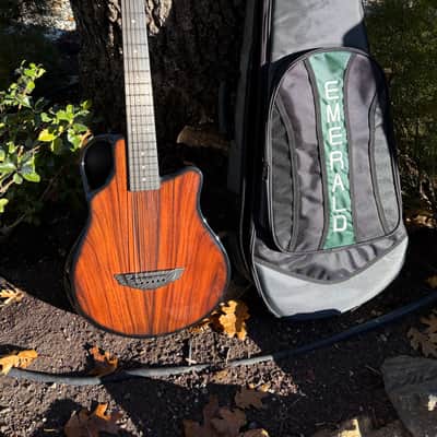 Emerald X10 Custom 2021 - Carbon Fiber with wood overlay image 1