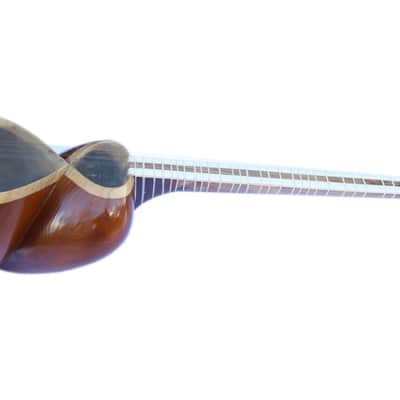 Persian Tar String Musical Instrument By Afshari ET-202 image 1