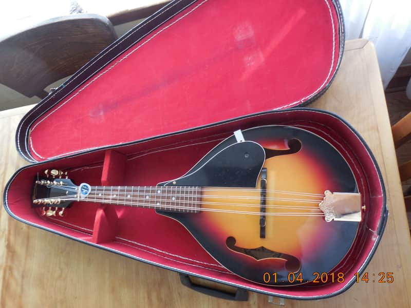 SUZUKI スズキ フラットマンドリン MF-130 Mandolin MF 130 made in Japan by Kiso Suzuki | Reverb