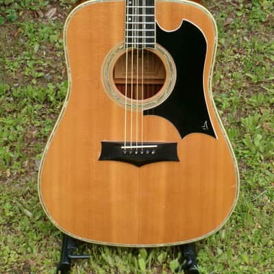 1973 Yairi YW600G Grammer Guitar Style New Jacaranda - Natural+Flight Case image 2